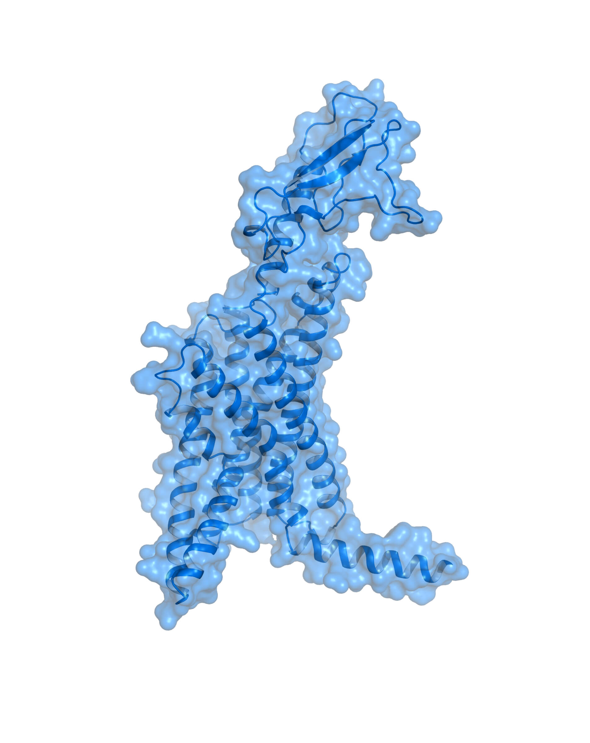 GLP-1R, GIPR, GCGR Program